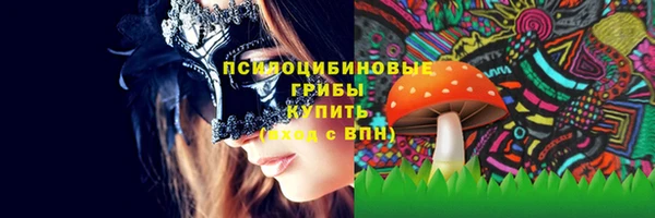 СК Абинск
