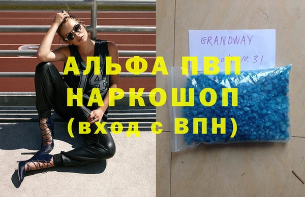 дживик Великий Новгород