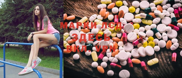 PSILOCYBIN Абдулино