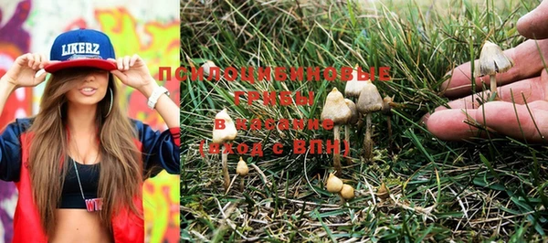 PSILOCYBIN Абдулино