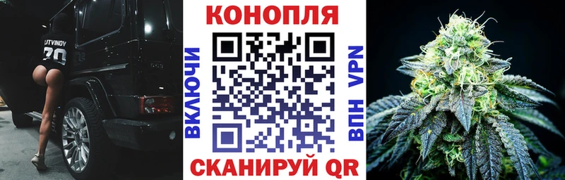 маркетплейс телеграм Карасук МАРИХУАНА SATIVA & INDICA